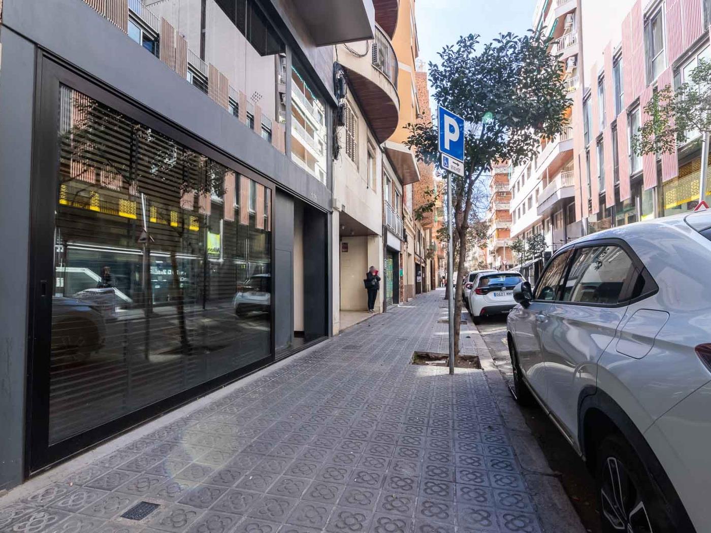 My Space Barcelona Loft industrial duplex para 3 - My Space Barcelona Apartamentos