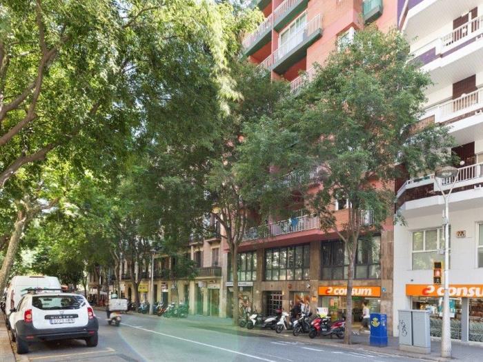 ¡Encantador piso con capacidad para 6 personas cerca del corazón de la ciudad! - My Space Barcelona Apartamentos