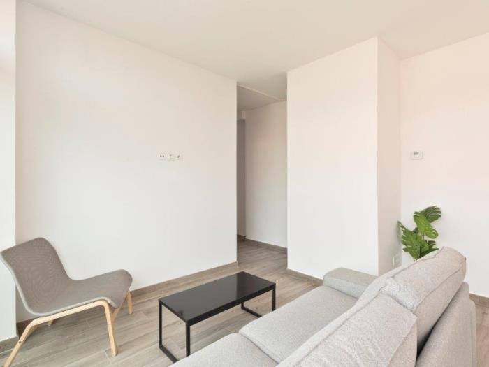 Apartmento en el corazón de la ciudad! Espacioso piso con encanto para 6 persona - My Space Barcelona Apartamentos