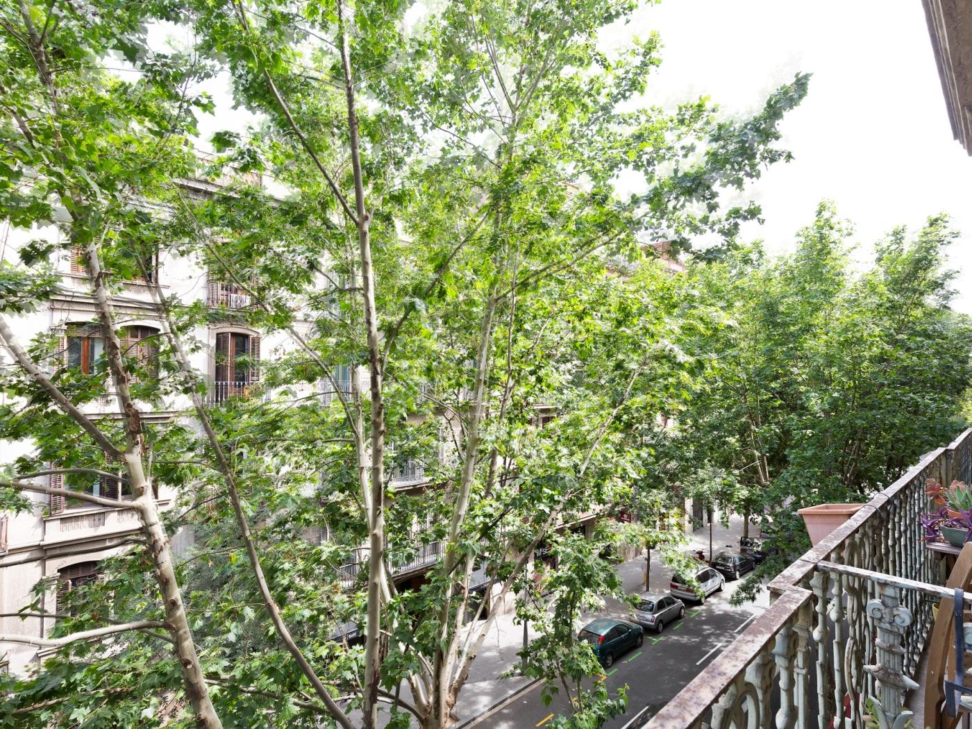 Tu estancia perfecta en el corazón de la ciudad - My Space Barcelona Apartamentos